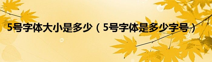 号字体大小是多少（5号字体是多少字号）"