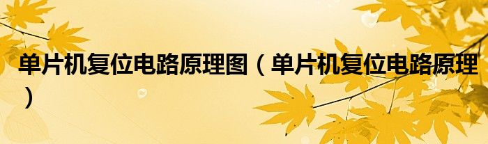 单片机复位电路原理图（单片机复位电路原理） 第1张