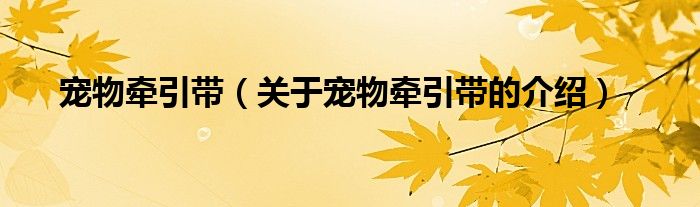 宠物牵引带（关于宠物牵引带的介绍） 第1张