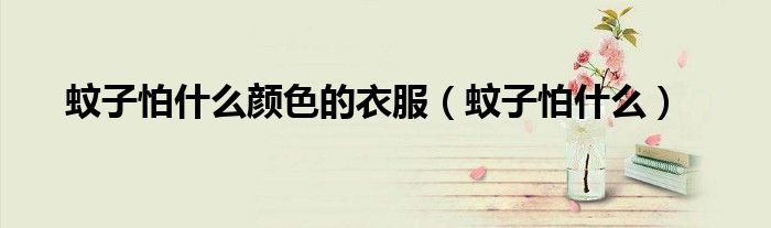 蚊子怕什么颜色的衣服（蚊子怕什么） 第1张