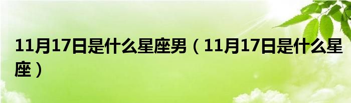 1月17日是什么星座男（11月17日是什么星座）"