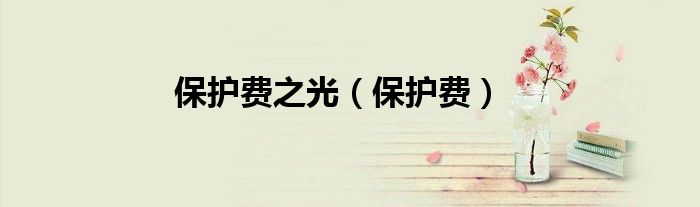 保护费之光（保护费） 第1张