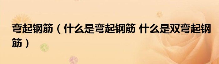 弯起钢筋（什么是弯起钢筋 什么是双弯起钢筋） 第1张