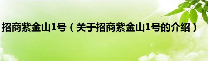 招商紫金山1号（关于招商紫金山1号的介绍） 第1张