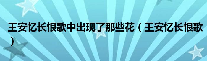 王安忆长恨歌中出现了那些花（王安忆长恨歌） 第1张