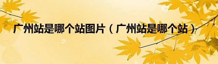 广州站是哪个站图片（广州站是哪个站） 第1张