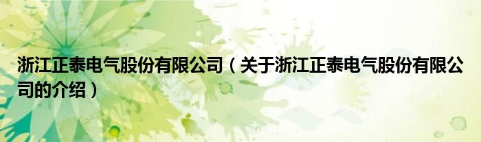浙江正泰电气股份有限公司（关于浙江正泰电气股份有限公司的介绍） 第1张