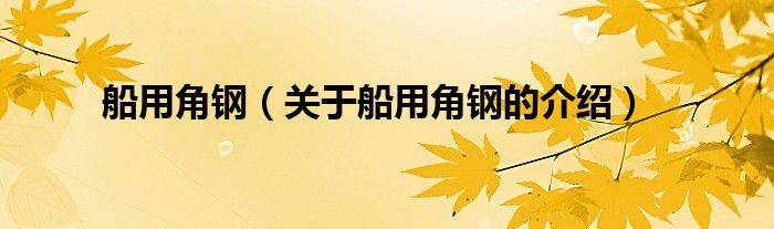 船用角钢（关于船用角钢的介绍） 第1张