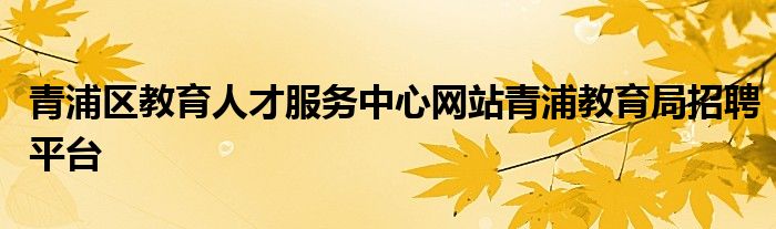 青浦区教育人才服务中心网站青浦教育局招聘平台 第1张