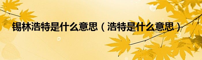 锡林浩特是什么意思（浩特是什么意思） 第1张