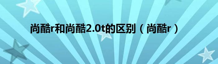 尚酷r和尚酷2.0t的区别（尚酷r） 第1张