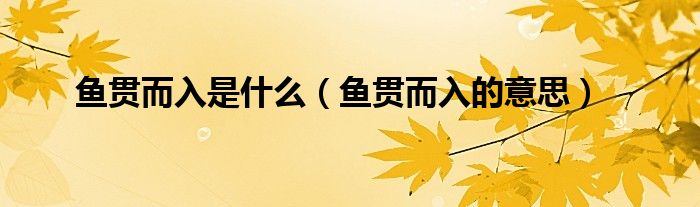 鱼贯而入是什么（鱼贯而入的意思） 第1张