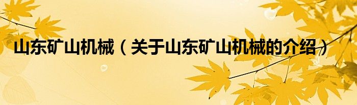 山东矿山机械（关于山东矿山机械的介绍） 第1张