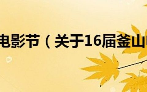 16届釜山电影节（关于16届釜山电影节的介绍）