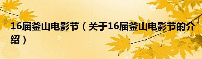 6届釜山电影节（关于16届釜山电影节的介绍）"