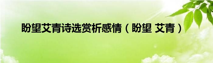 盼望艾青诗选赏析感情（盼望 艾青） 第1张
