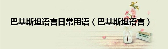 巴基斯坦语言日常用语（巴基斯坦语言） 第1张