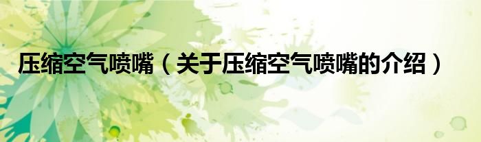 压缩空气喷嘴（关于压缩空气喷嘴的介绍） 第1张
