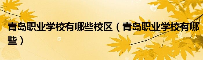 青岛职业学校有哪些校区（青岛职业学校有哪些） 第1张