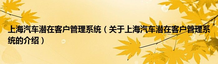 上海汽车潜在客户管理系统（关于上海汽车潜在客户管理系统的介绍） 第1张