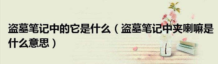 盗墓笔记中的它是什么（盗墓笔记中夹喇嘛是什么意思） 第1张