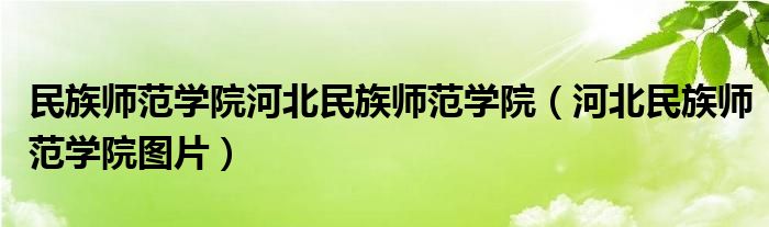 民族师范学院河北民族师范学院（河北民族师范学院图片） 第1张