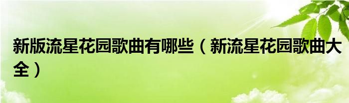 新版流星花园歌曲有哪些（新流星花园歌曲大全） 第1张