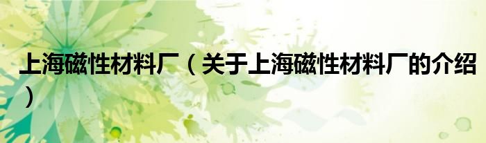 上海磁性材料厂（关于上海磁性材料厂的介绍） 第1张