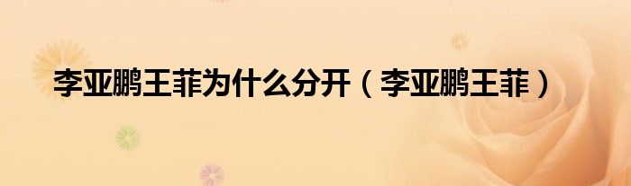 李亚鹏王菲为什么分开（李亚鹏王菲） 第1张