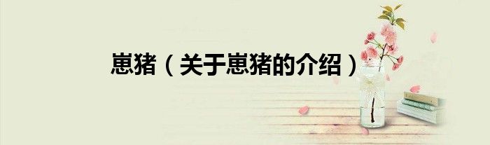 崽猪（关于崽猪的介绍） 第1张