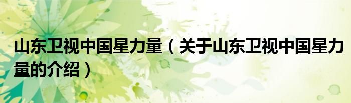 山东卫视中国星力量（关于山东卫视中国星力量的介绍） 第1张