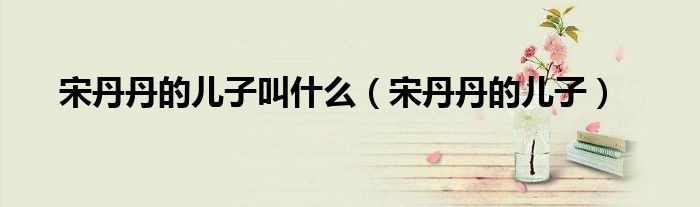 宋丹丹的儿子叫什么（宋丹丹的儿子） 第1张
