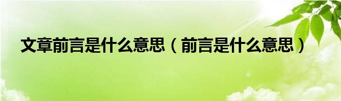 文章前言是什么意思（前言是什么意思） 第1张