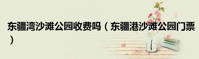 东疆湾沙滩公园收费吗（东疆港沙滩公园门票） 第1张
