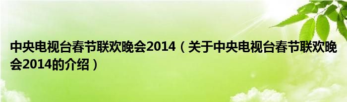 中央电视台春节联欢晚会2014（关于中央电视台春节联欢晚会2014的介绍） 第1张