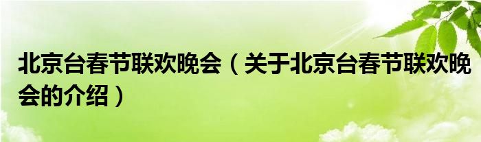 北京台春节联欢晚会（关于北京台春节联欢晚会的介绍） 第1张