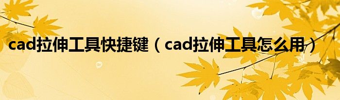 cad拉伸工具快捷键（cad拉伸工具怎么用） 第1张
