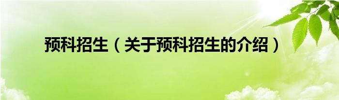 预科招生（关于预科招生的介绍） 第1张