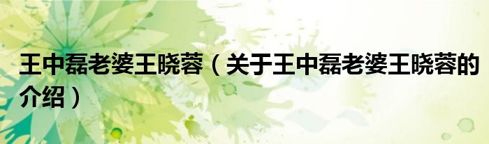 王中磊老婆王晓蓉（关于王中磊老婆王晓蓉的介绍） 第1张