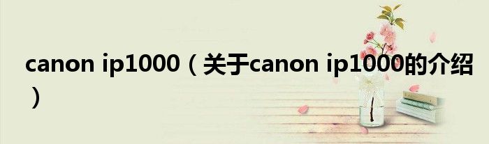 canon ip1000（关于canon ip1000的介绍） 第1张