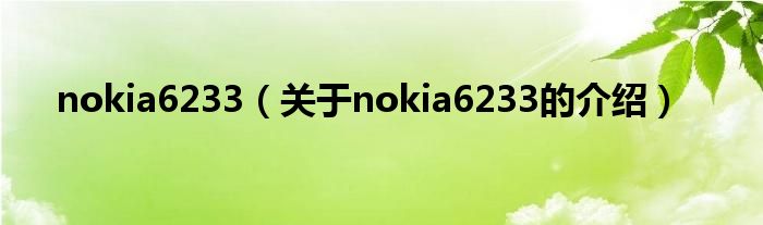 nokia6233（关于nokia6233的介绍） 第1张
