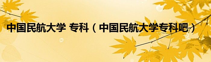 中国民航大学 专科（中国民航大学专科吧） 第1张