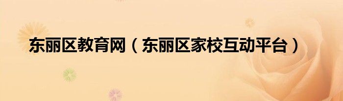 东丽区教育网（东丽区家校互动平台） 第1张