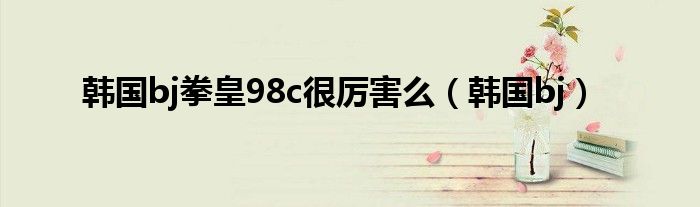 韩国bj拳皇98c很厉害么（韩国bj） 第1张