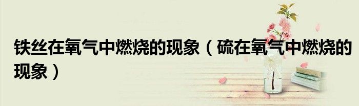 铁丝在氧气中燃烧的现象（硫在氧气中燃烧的现象） 第1张