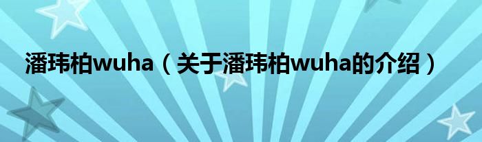 潘玮柏wuha（关于潘玮柏wuha的介绍） 第1张