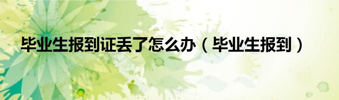 毕业生报到证丢了怎么办（毕业生报到） 第1张