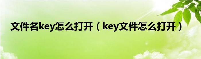 文件名key怎么打开（key文件怎么打开） 第1张