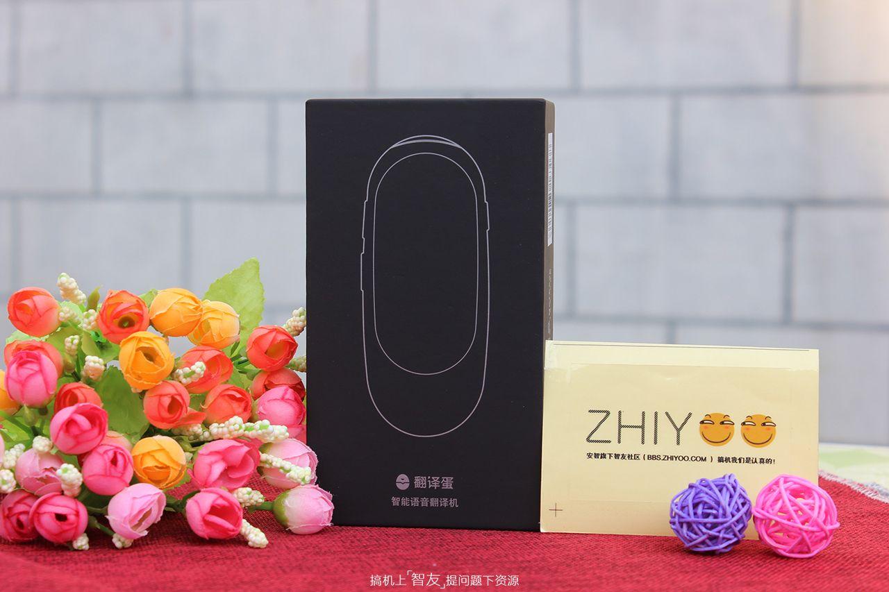 有道翻译蛋好用吗（网易有道翻译蛋亲身体验） 第1张