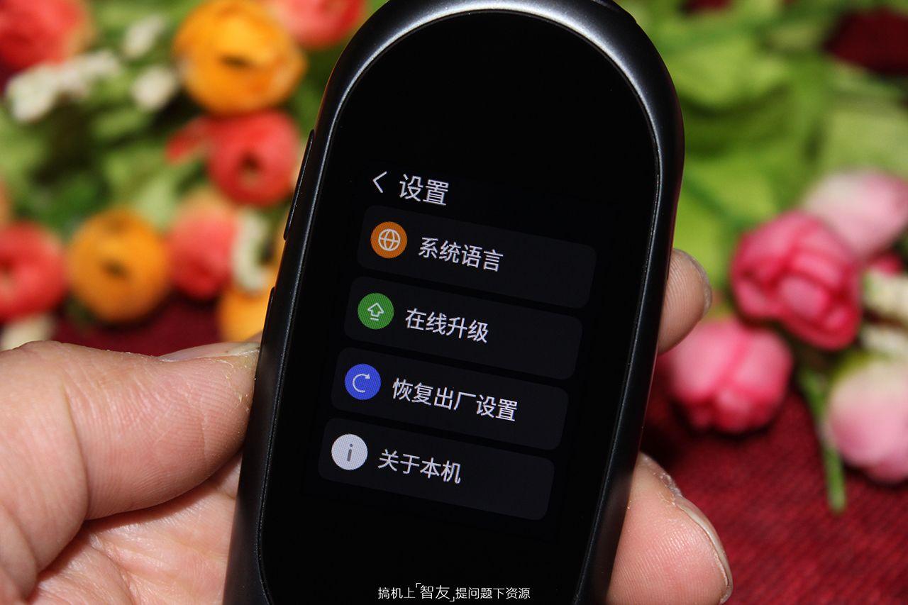 有道翻译蛋好用吗（网易有道翻译蛋亲身体验） 第29张